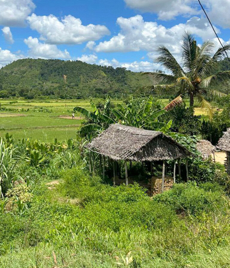 Capanna e campi coltivazione vaniglia in madagascar