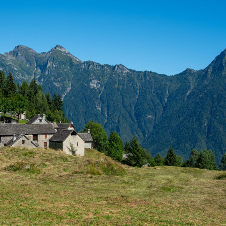 Alpe Voma sopra Crodo in Ossola