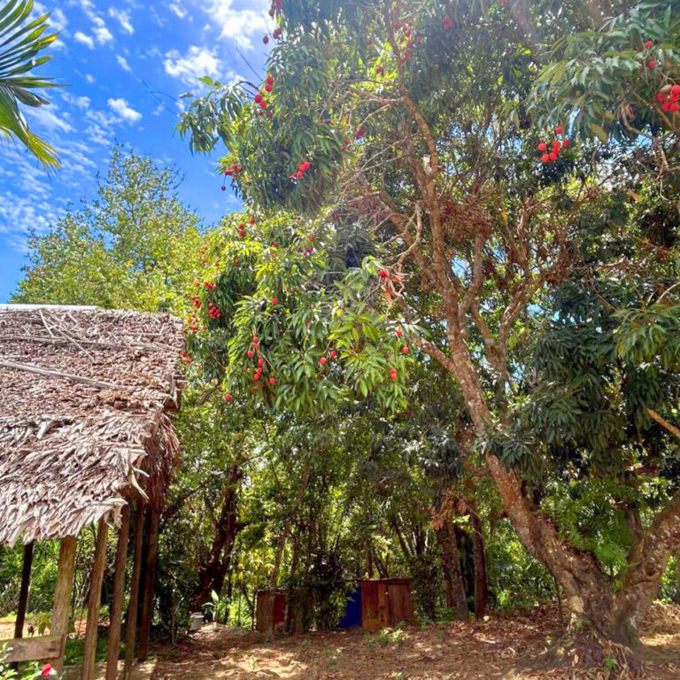 Villaggio in Madagascar